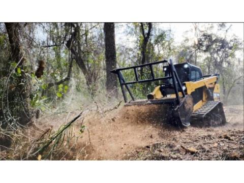 Professional Forestry Mowing Services in Hilo by Arborist Services 