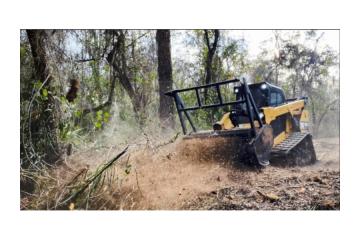 Professional Forestry Mowing Services in Hilo by Arborist Services 