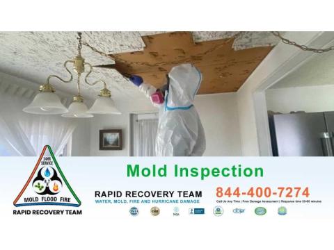 Florida Mold Inspection