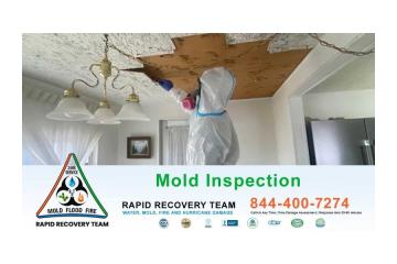 Florida Mold Inspection