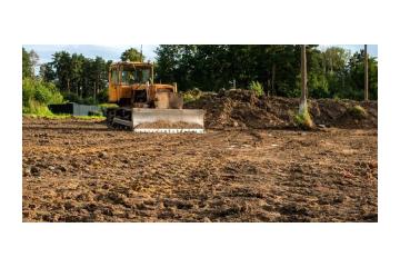 Trusted Land Clearing Big Island Hawaii Experts | Arborist Services 