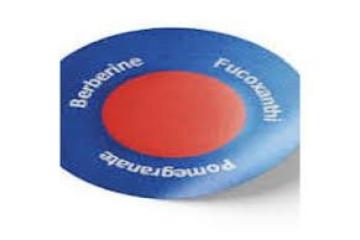 Florisma Patch Canada: Natural Balance, Wellness, and Daily Vitality!