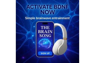 The Genius Song: A Symphony of Creativity and Intelligence!