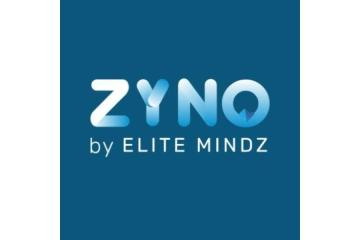 Smart Spend Management Made Easy with ZYNO by Elitemindz