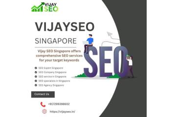 How an SEO Expert in Singapore Can Transform Your Online Visibility 