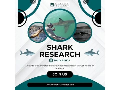 Shark Research South Africa