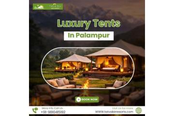 Luxury Tents In Palampur for Comfortable Camping Stay