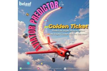 Predict the Right Moment Before the Flight Crashes Aviator app