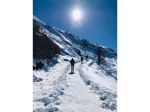 Chopta Tour Cost 2026 – Budget Packages | GoCapcy - 2/2
