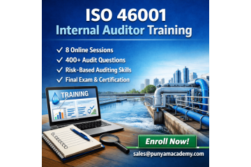 Become an ISO 46001 Internal Auditor Online!