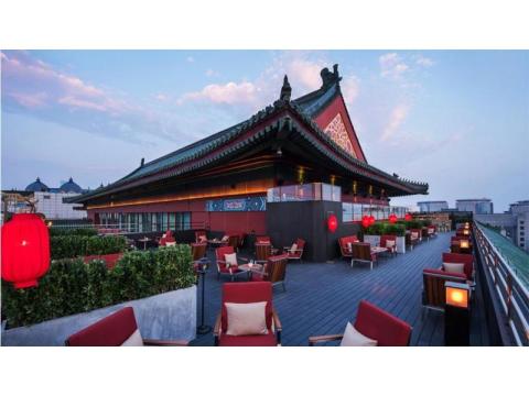 5 Star Hotels in Tokyo City – Discover Luxury and Comfort