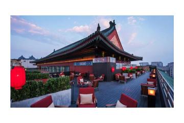 5 Star Hotels in Tokyo City – Discover Luxury and Comfort