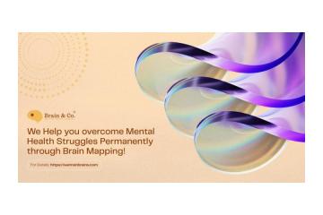 Brain Mapping & Neurofeedback | Brain & Co.