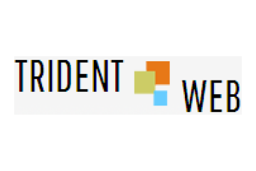 Website Design Company in Pune, India: Trident Web Infoservices