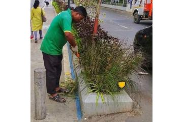 Book gardener online with GreenLands Professional Landscape Care for Modern Homes 