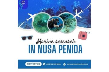 Marine research in Nusa Penida 
