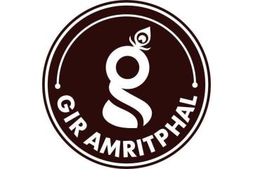 farm fresh A2 cow ghee