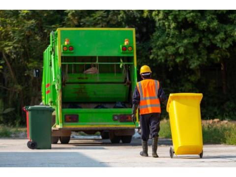Need Professional Mold Removal Plattsburgh NY Services Today?