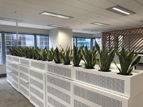 Stylish Event Plant Hire to Elevate Your Special Occasions