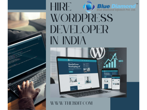 Hire WordPress Developer in India