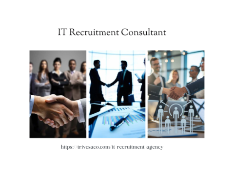 Trusted IT Recruitment Consultant for Smart Hiring Solutions