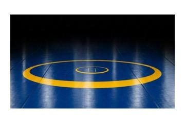 Buy Best Price Wrestling Mat | Gravolite