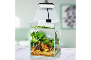 Trusted Aquarium Shop in Sydney for Quality Supplies