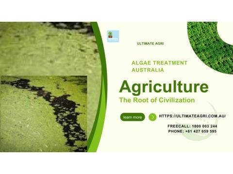 Algae treatment Australia
