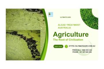 Algae treatment Australia