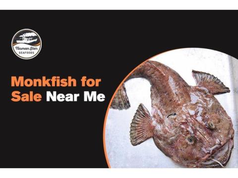 Best Fish Market Near Me | Tasman Star Seafood