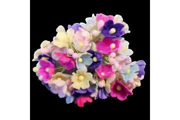 Buy Window Flowers Boxes for Spring Season – Fast Shipping USA