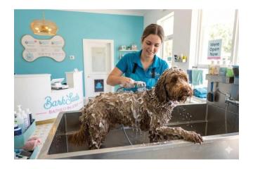 Need a Reliable Dog Washer in Dunedin? Start Fresh Today