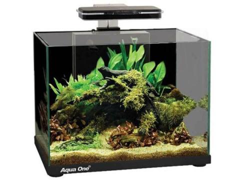Reliable Aquarium Supplies in Sydney for Healthy and Thriving Aquariums