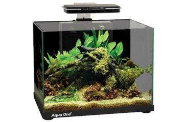 Reliable Aquarium Supplies in Sydney for Healthy and Thriving Aquariums