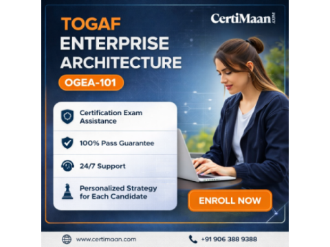 TOGAF Certification Support Insights for OGEA-101 Success