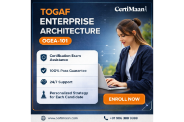 TOGAF Certification Support Insights for OGEA-101 Success