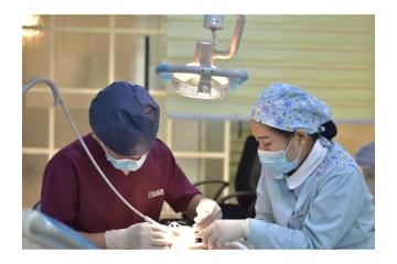 Dental Services Melbourne for Modern and Affordable Care