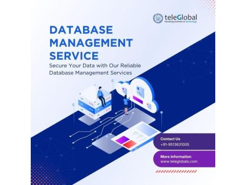 Reliable Database Management Services for SMEs & Enterprises