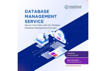 Reliable Database Management Services for SMEs & Enterprises