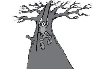 Affordable Tree Removal Services West Jordan UT