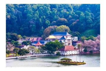 Explore Sri Lanka Holidays Package: Culture and Scenic Experiences