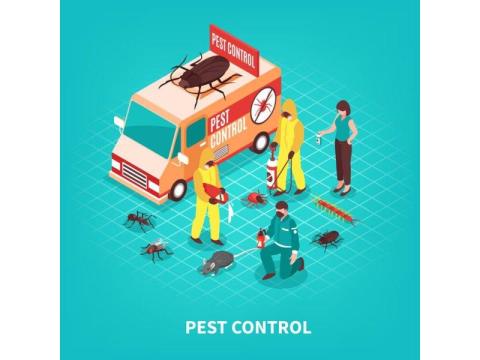 Affordable Pest Control in Irvine | Fast & Reliable Service