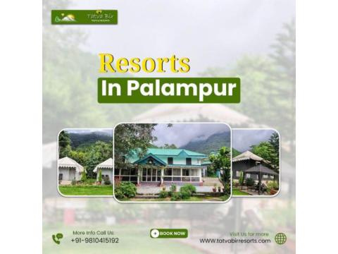 Resorts in Palampur for Peaceful Mountain Stay