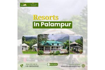 Resorts in Palampur for Peaceful Mountain Stay