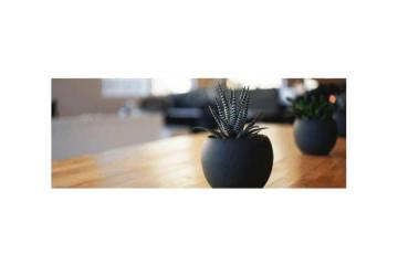 CBT Therapy in Barrington for Anxiety Depression Stress Relief 