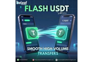 Flash USDT Software for Smooth High-Volume Transfers