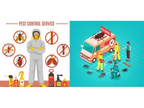 Sunnyvale pest control - Habitatpest