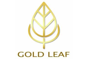 Affordable Gold Leaf Abstract Painting in Gurgaon