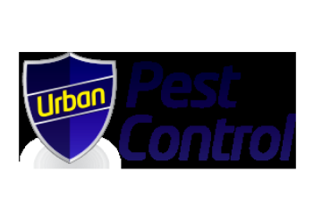 Wasp Nest Removal Poole Wareham at Urban Pest Control