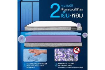 ควรเลือกซื้อเฟอร์นิเจอร์จากร้านแบบไหนถึงจะคุ้มค่า?